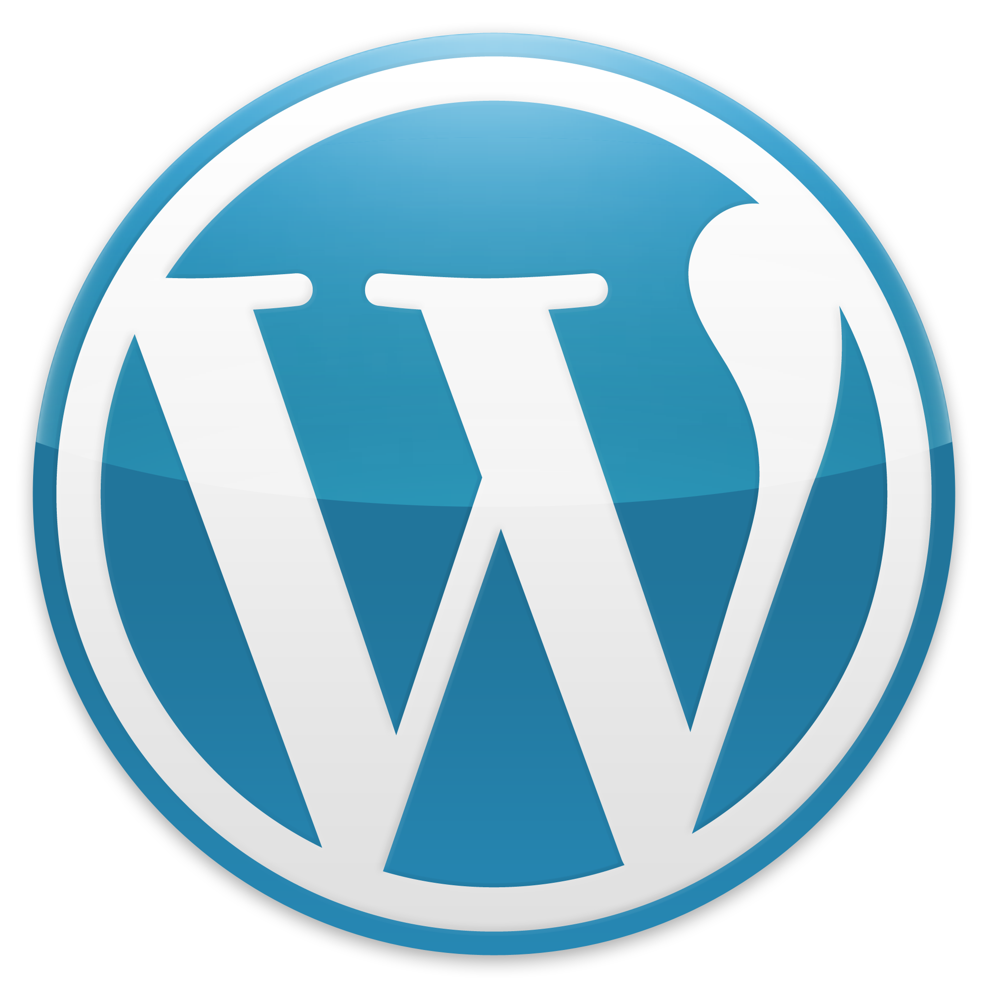 WORDPRESS EKLENTİLERİ